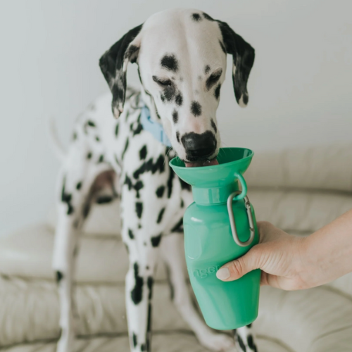 Classic Dog Travel Bottle